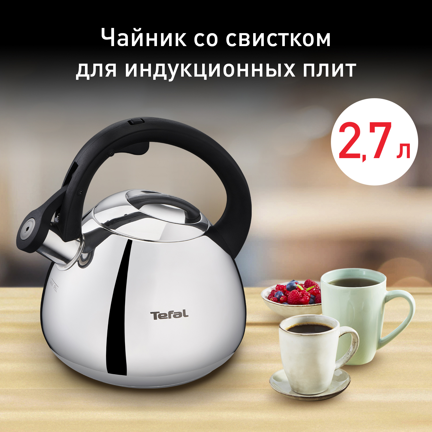 Чайник для плиты Tefal Kettle ss induction  2,7 л K2481574