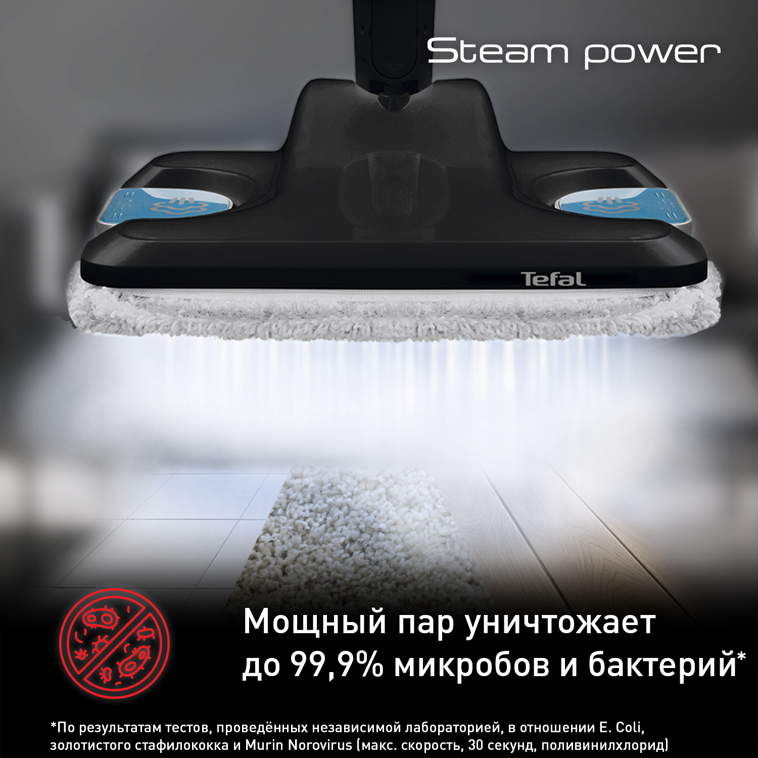 Пароочиститель Tefal Steam Power VP6555RH