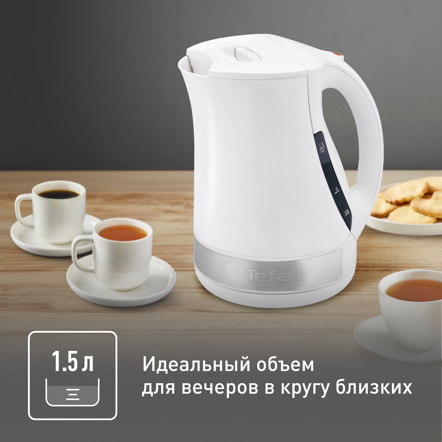 Электрический чайник Tefal Principio plus KO108130