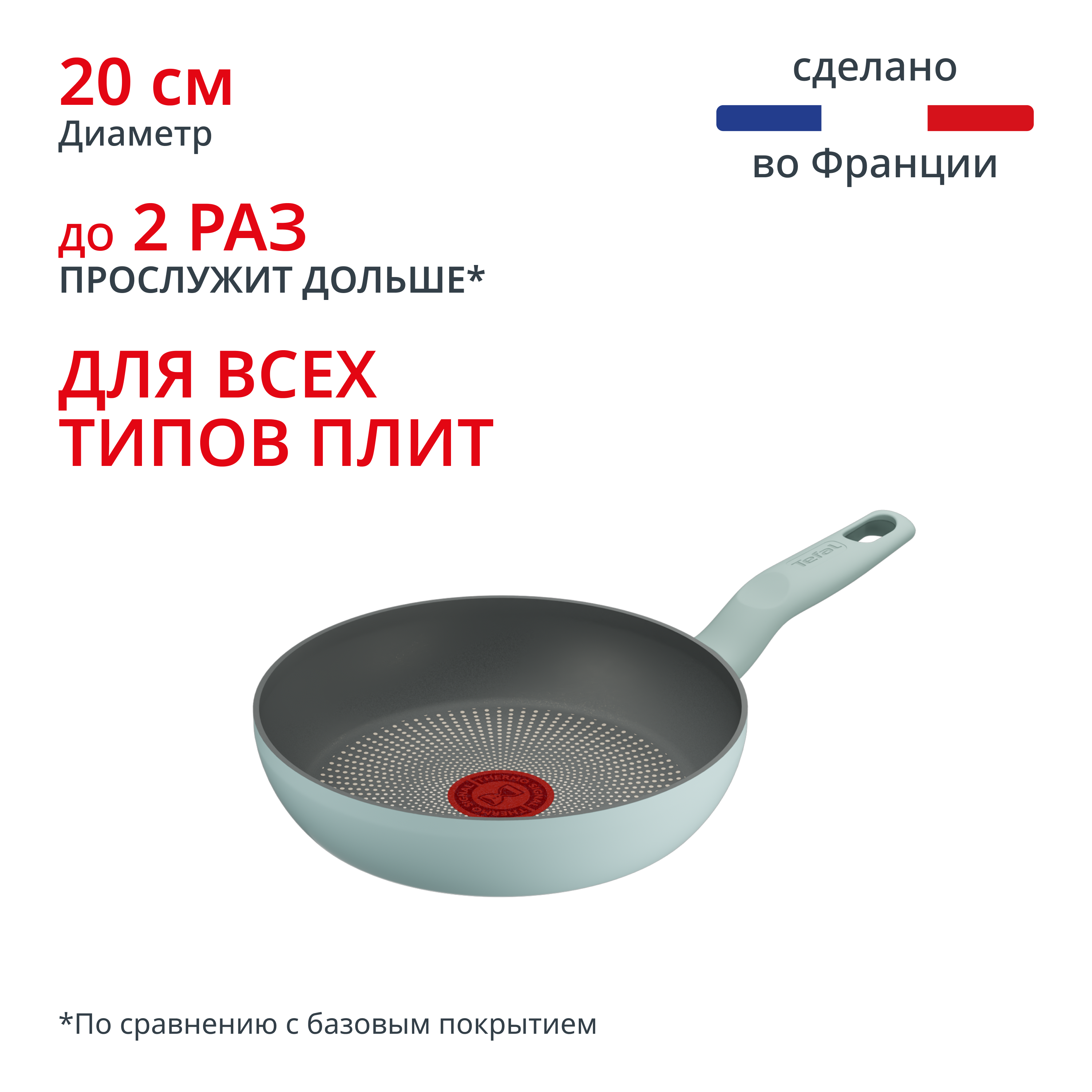 Halo Eucalyptus 20 см G0160202