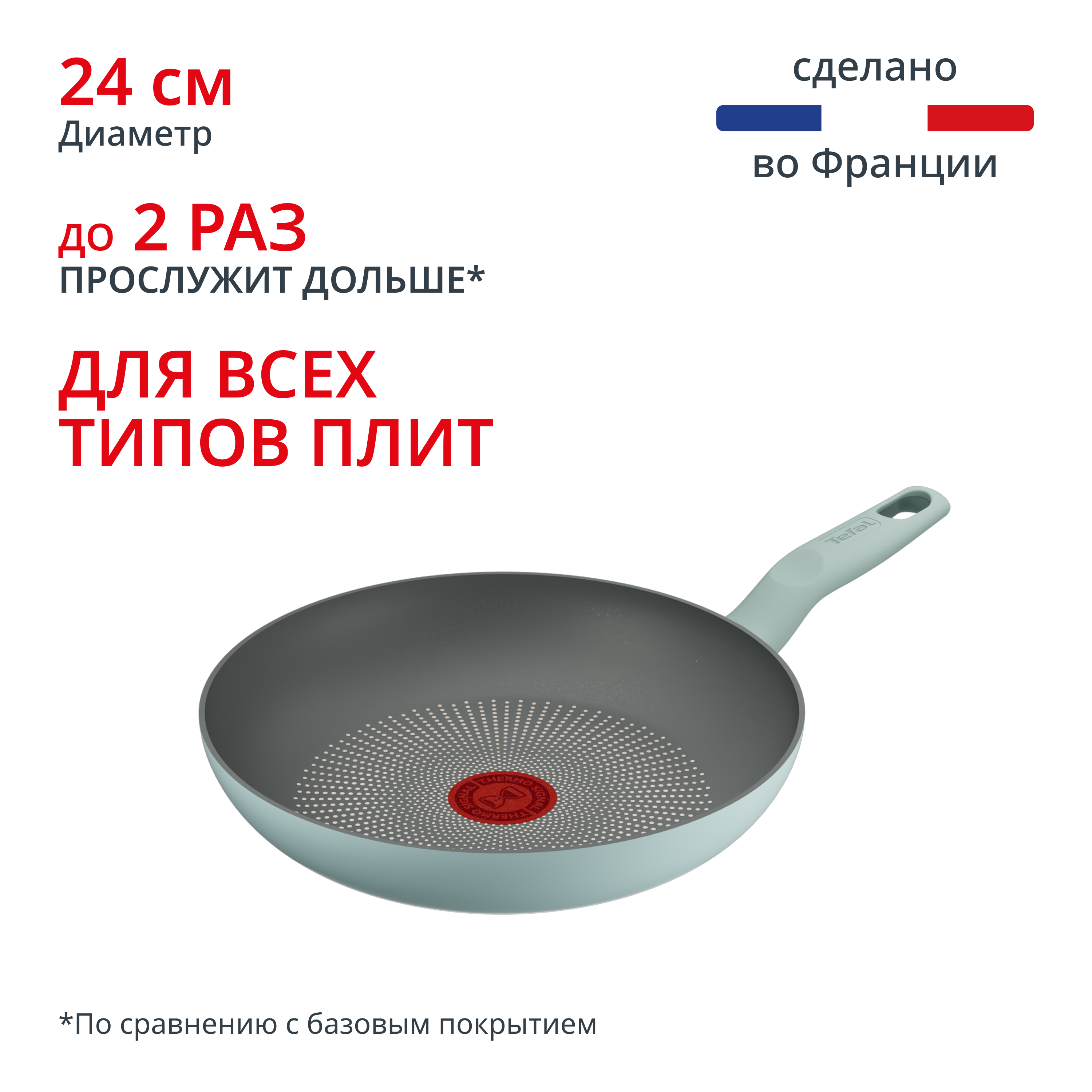 Halo Eucalyptus 24 см G0160402