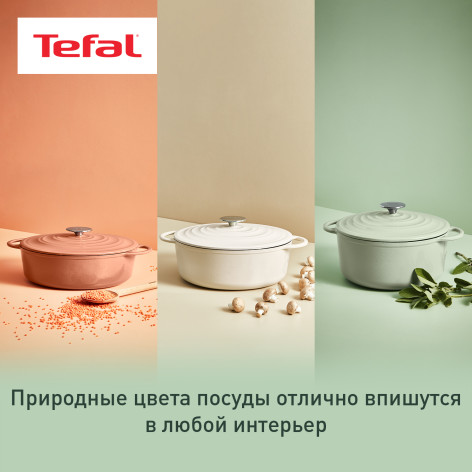 Овальная кастрюля с крышкой Tefal LOV 34х26 см E2580604 фото 11